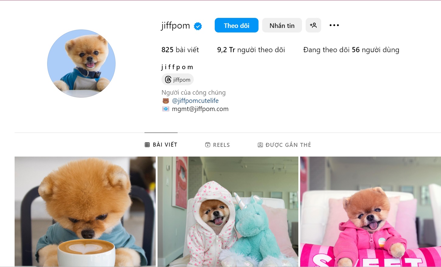 Với 9,4 triệu người theo dõi trên Instagram, Jiffpom đã trở thành một trong những Pet Influencer được các thương hiệu ưa chuộng hợp tác.